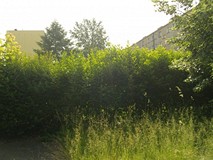 „Pamiętajcie o ogrodach”
