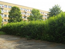 „Pamiętajcie o ogrodach”
