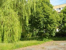 „Pamiętajcie o ogrodach”