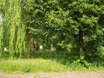 „Pamiętajcie o ogrodach”