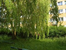 „Pamiętajcie o ogrodach”