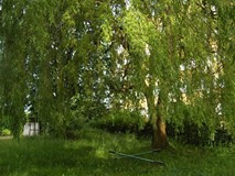 „Pamiętajcie o ogrodach”