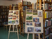 Wystawa fotograficzna