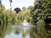 WE LOVE YOU KOSZALIN