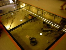 WE LOVE YOU KOSZALIN