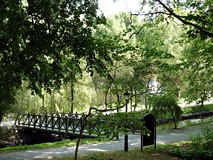 Z wizytą na Jedynce i Trójce