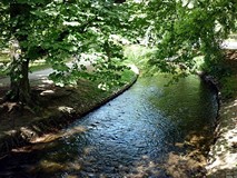 Z wizytą na Jedynce i Trójce