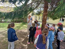 Bibliotekarka pokazuje dzieciom ilustrację