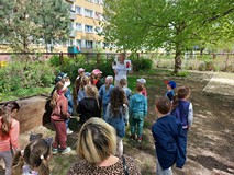 Bibliotekarka pokazuje dzieciom ilustrację