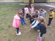 Dzieci razem z bibliotekarką podziwiają rośliny w ogrodzie