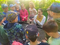 Dzieci stoją naokoło drewnianej skrzynki i słuchają bibliotekarki