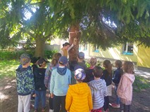 Dzieci podczas zajęć w ogrodzie oglądają domy dla owadów