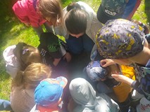 Dzieci podczas zajęć w ogrodzie szukają jego mieszkańców