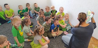Czytanie książki o życiu pszczół