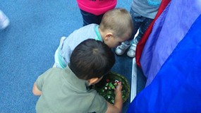 „Tygryski” w bibliotece