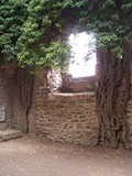 Chojnik