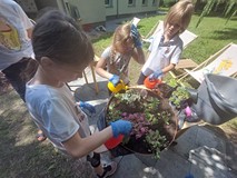 Dzieci sadzą kwiaty