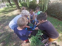 Dzieci sadzą kwiaty