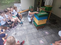 Bibliotekarka pokazuje dzieciom, jak wygląda ul