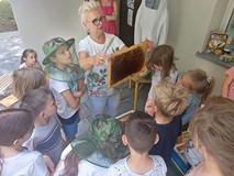 Bibliotekarka pokazuje jak wygląda ul