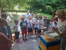 Bibliotekarka pokazuje jak wygląda ul