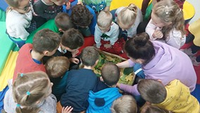 Dzieci w kartonie z liśćmi szukają