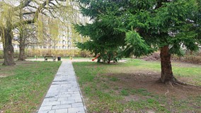 Ogród