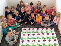 Grupa Biedronki