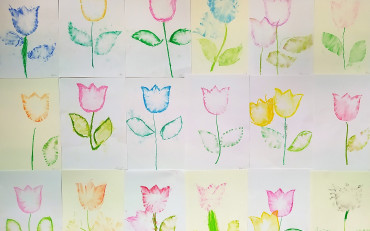 Tulipany wykonane przez grupę Sternicy