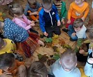 Sprawdzamy kolory jesiennych liści