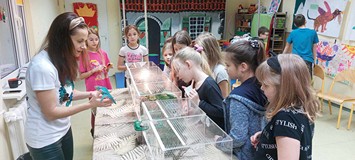 Dzieci oglądają zwierzęta w terrariach