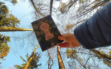 Zdjęcie książki Ukryte życie lasu
