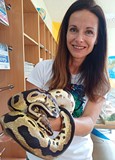 Na zdjęciu pani Kasia z pytonem królewskim - Groszkiem