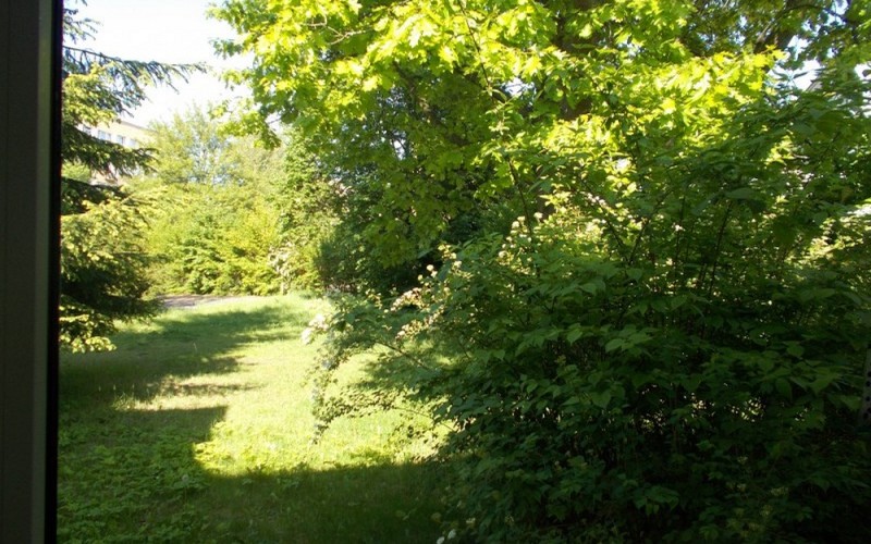 Zielony ogród