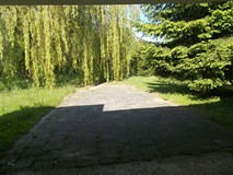Zielony ogród