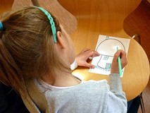 Niedźwiadki i Kociaki