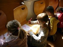 Niedźwiadki i Kociaki