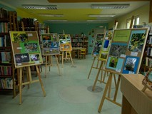 Wiosna w fotografii
