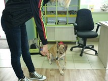 DZIEŃ PRZYJACIELA