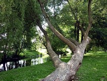 WYCIECZKA NAD RZECZKĘ