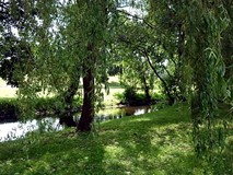 WYCIECZKA NAD RZECZKĘ