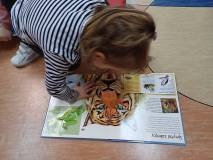 Na zdjęciu przedszkolak przegląda książkę 3D