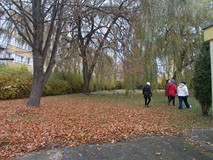 Biblioteczny Ogród