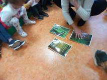 Dzieci segregują dary jesieni