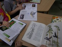 Kto w lesie stuka i co można zobaczyć przez lupę