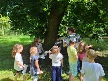 Zajęcia dla dzieci w czasie wakacji pod drzewem w parku