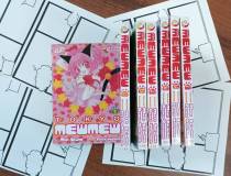 mangi Tokyo Mewmew