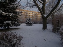 Zima napadła na ogród