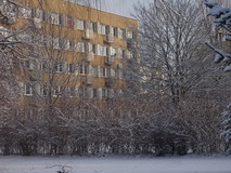 Zima napadła na ogród