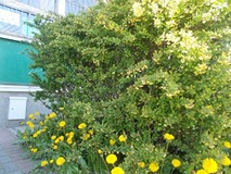 Wiosenne spotkanie w bibliotece